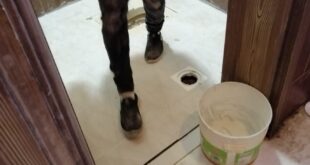 شركة كشف تسربات المياه بالقصيم  0533299892 شركة كشف تسربات المياه بالقصيم  0533299892